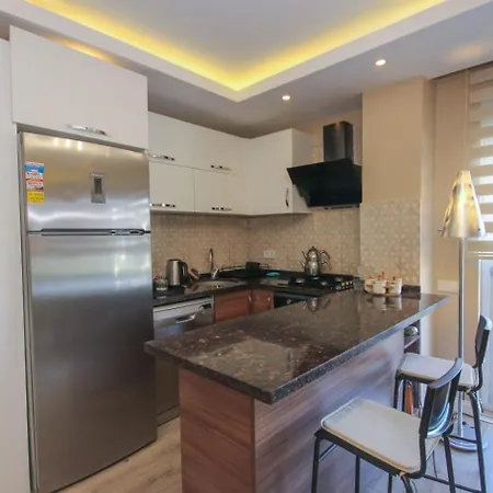 Metropolitan Art Apartment